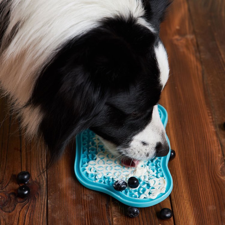 PetDreamHouse 爪爪星球口水舔食墊 夕陽橘(犬貓適用｜肉泥墊)