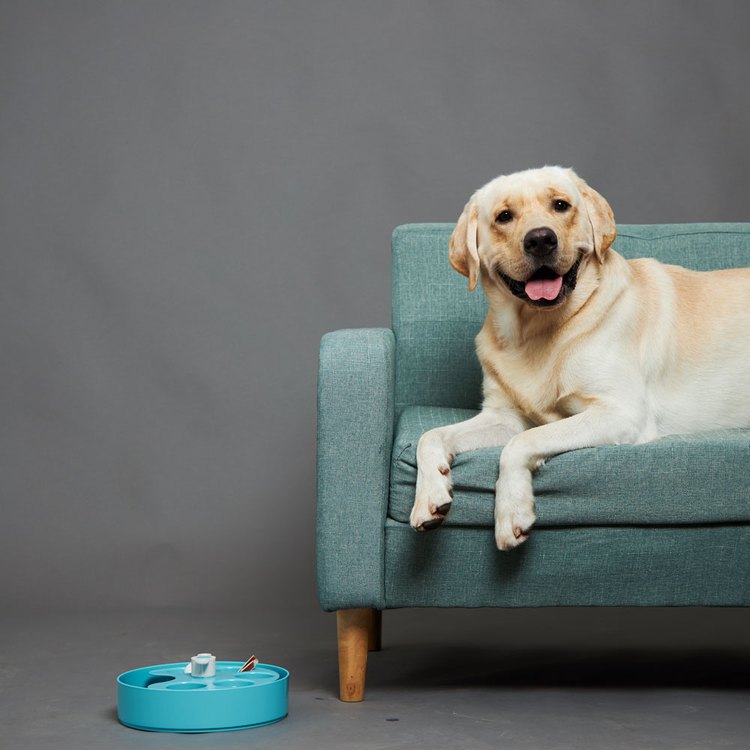 PetDreamHouse 配件-調色盤-天空藍