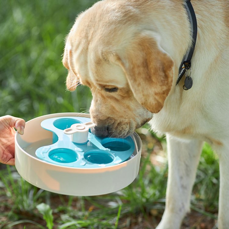 PetDreamHouse 調色盤 旋轉益智慢食碗(狗玩具|藏食玩具)