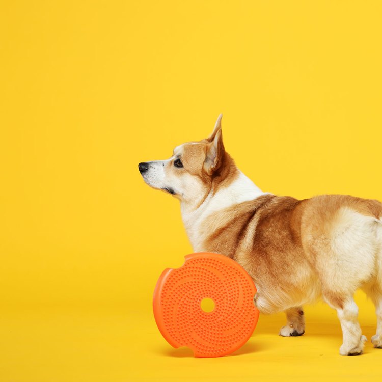 PetDreamHouse 配件專區 旋轉益智慢食碗(狗玩具|藏食配件)