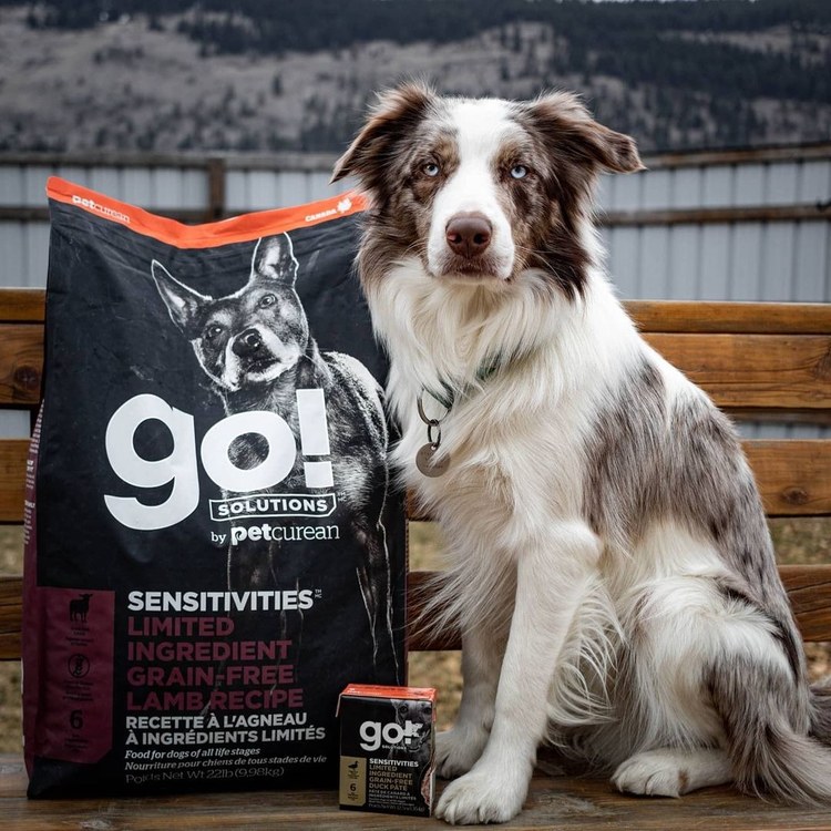 go! 羊肉 全犬 低致敏無穀狗糧 (狗飼料|犬糧)