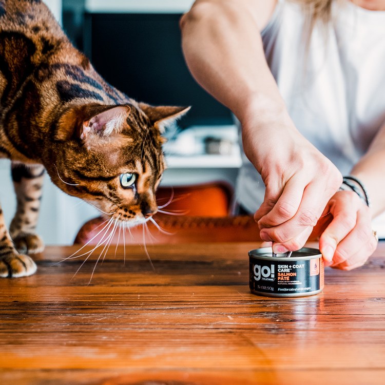 go! 德國貓罐 鮭魚 豐醬肉泥主食罐 ( 貓罐 | 主食罐 )