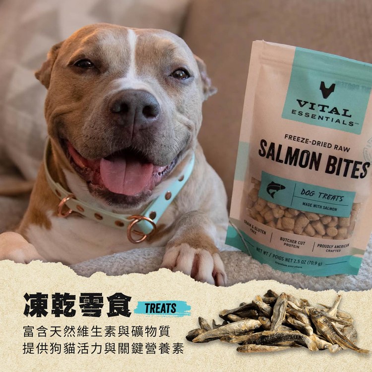 VE凍乾 兔肉 零食 (好拿好餵｜低敏好吸收)