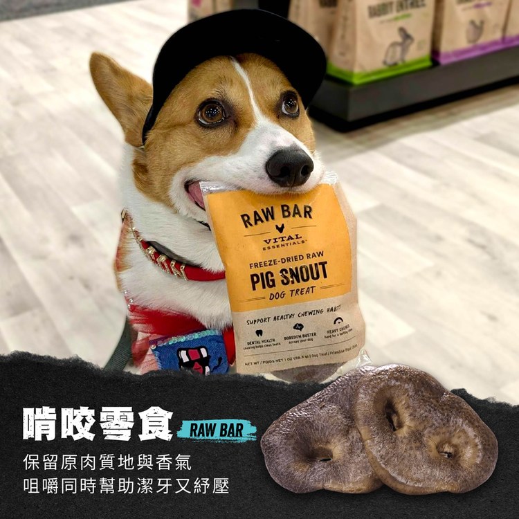 VE凍乾 全口味 狗狗啃咬零食 (天然鈣質補給｜潔牙零食)