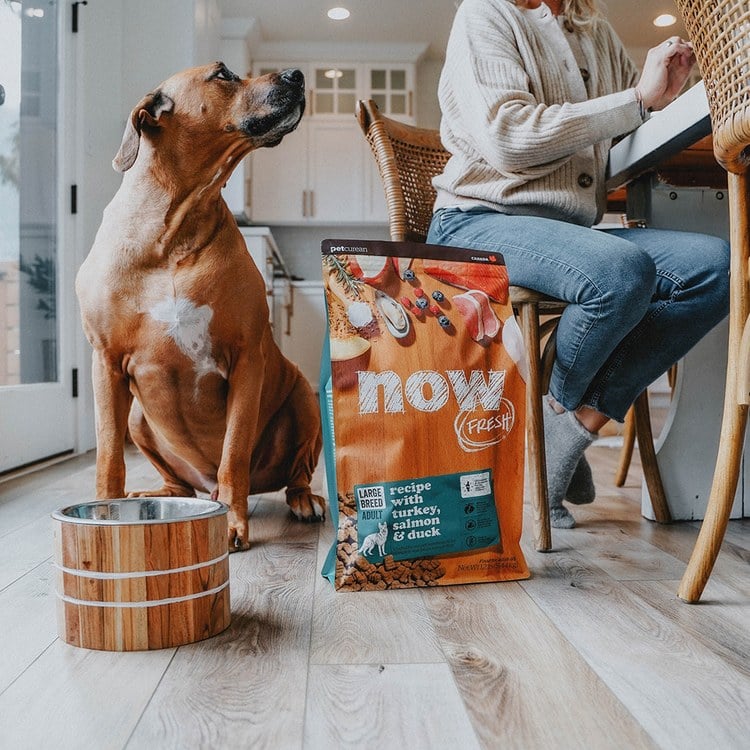 now 鮮肉大型成犬 無穀天然糧 (狗飼料|狗糧)