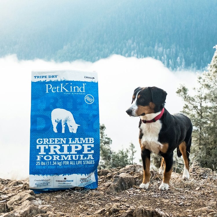 PetKind野胃 火雞 天然鮮草肚狗糧 (狗飼料|無榖)