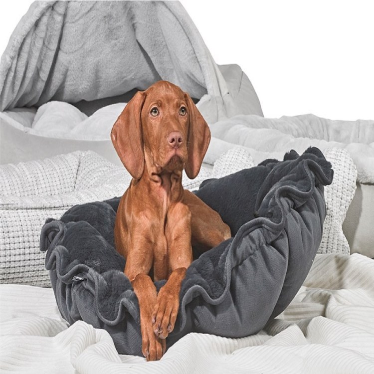 BOWSERS 杯型床 紳士銀黑(不沾毛|舒適柔軟)