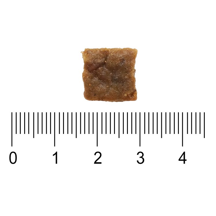 ZIWI巔峰 羊肚羊肉 經典系列狗糧 體驗包 (狗飼料|生食肉片)