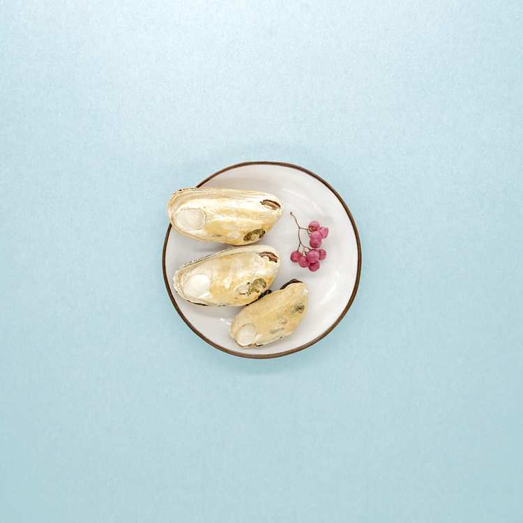 KiWiPet天然零食 綠唇貝 凍乾零食 (原肉零食|寵物零食)