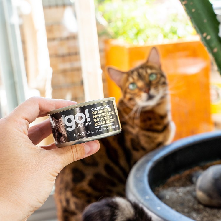 go! 德國貓罐 無穀羊肉 嫩絲肉絲主食罐 ( 貓罐 | 主食罐 )