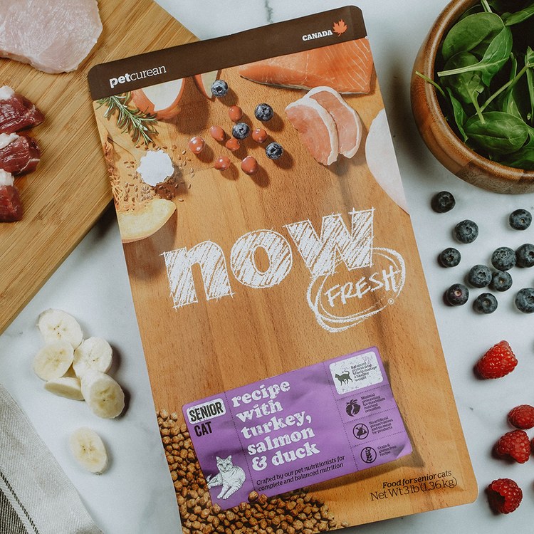 now 全口味300克天然糧 無穀貓糧 (貓飼料|貓糧)