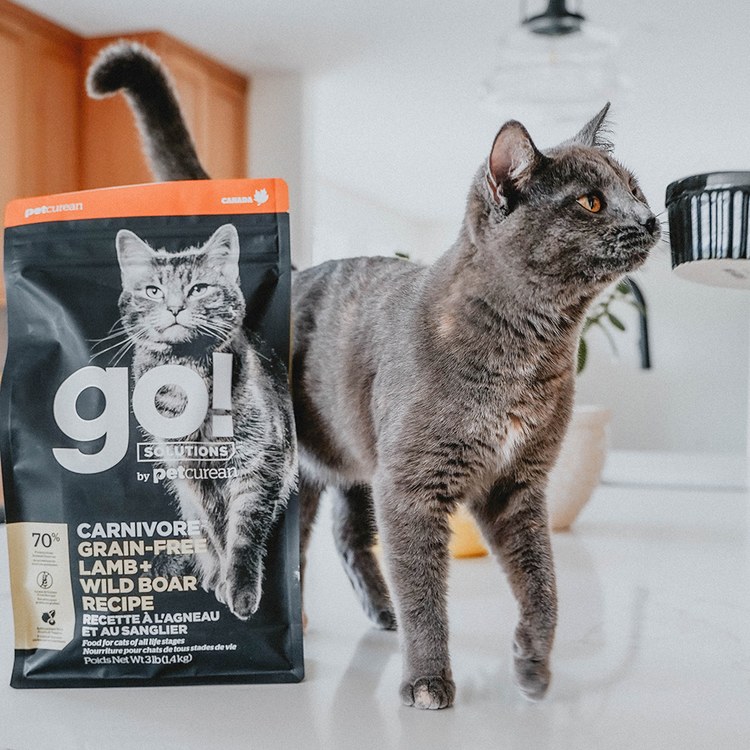 go! 能量放牧羊 全貓 高肉量無穀貓糧 (貓飼料|貓乾糧)
