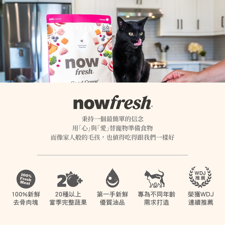 now 全口味 貓咪高湯天然糧 (乾濕兩吃|貓糧)
