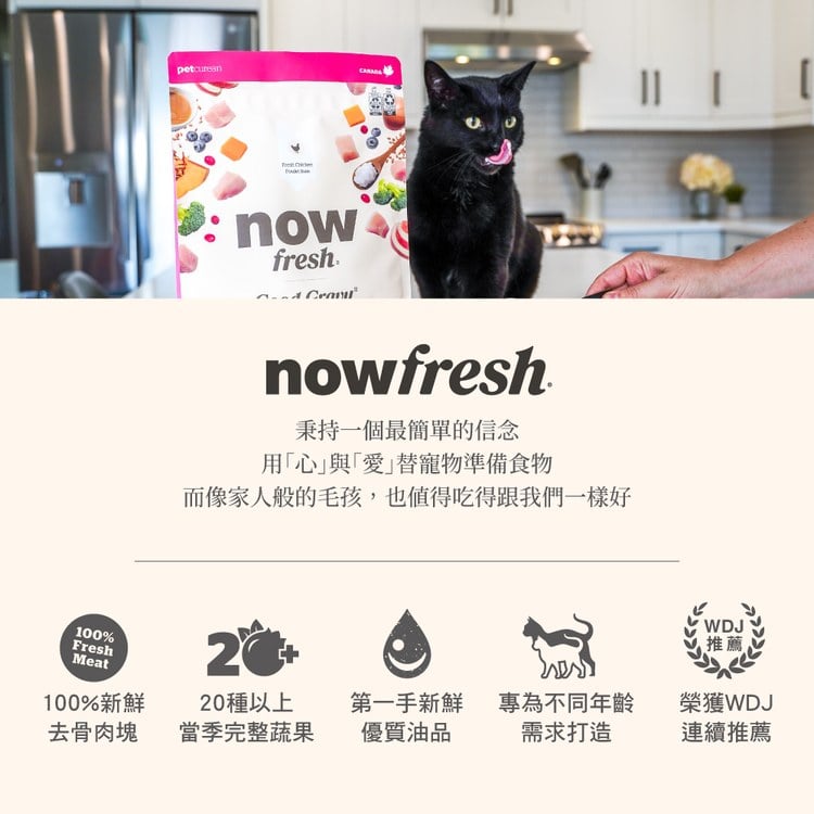 now 雞肉成貓 高湯天然糧 (乾濕兩吃|貓糧)
