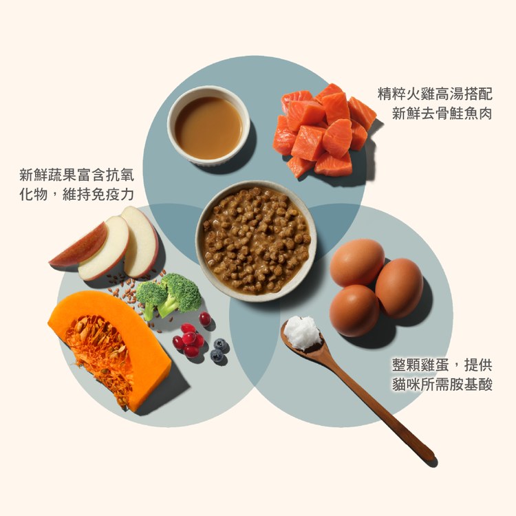 now 全口味 貓咪高湯天然糧 (乾濕兩吃|貓糧)