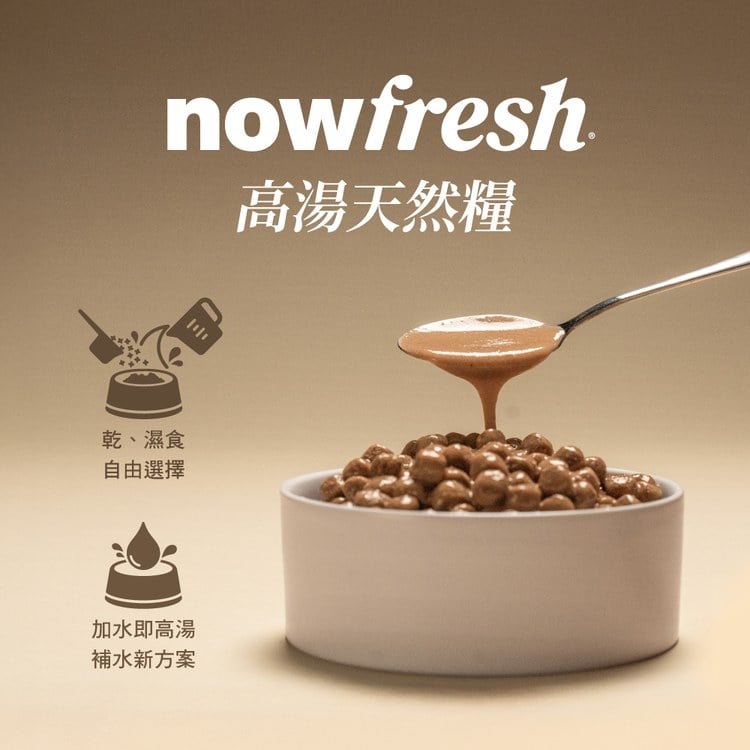 now 牛肉中型成犬 高湯天然糧 (乾濕兩吃|犬糧)