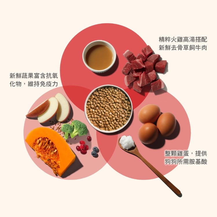 now 牛肉中型成犬 高湯天然糧 (乾濕兩吃|犬糧)