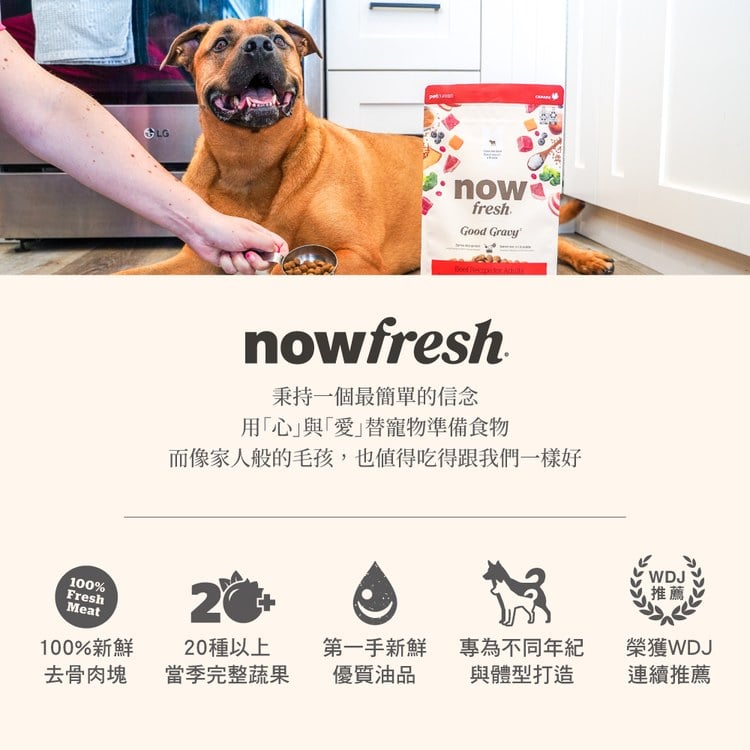 now 牛肉中型成犬 高湯天然糧 (乾濕兩吃|犬糧)