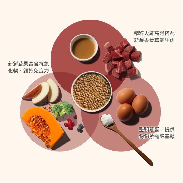 now 牛肉中型老犬 高湯天然糧 (乾濕兩吃|犬糧)