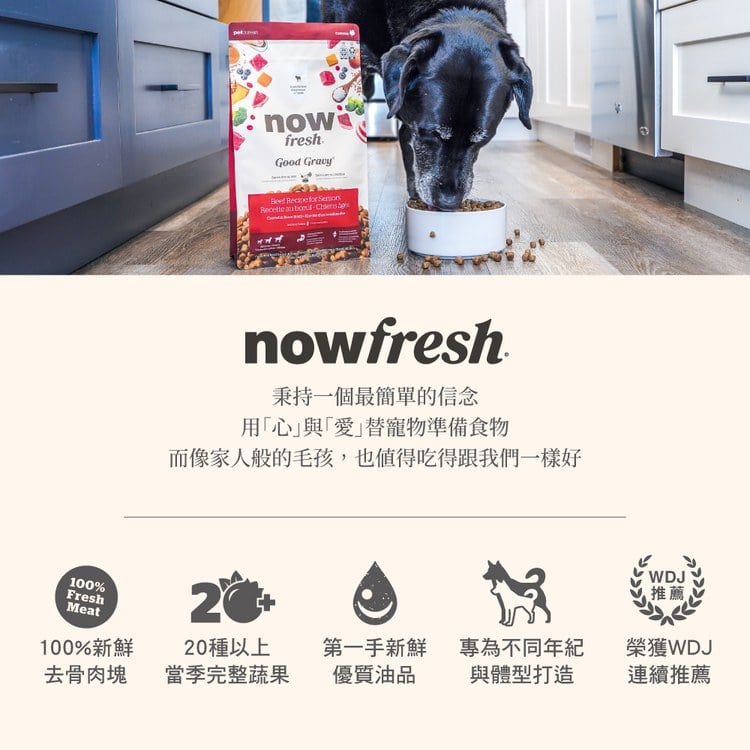 now 牛肉中型老犬 高湯天然糧 (乾濕兩吃|犬糧)