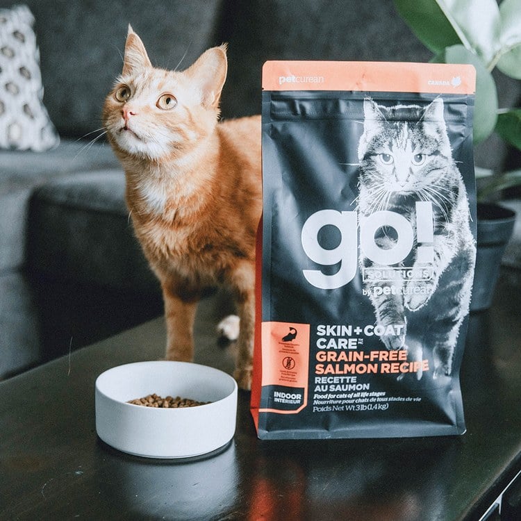 go! 野生鮭魚 全貓 皮毛保健無穀貓糧 (貓飼料|貓乾糧)