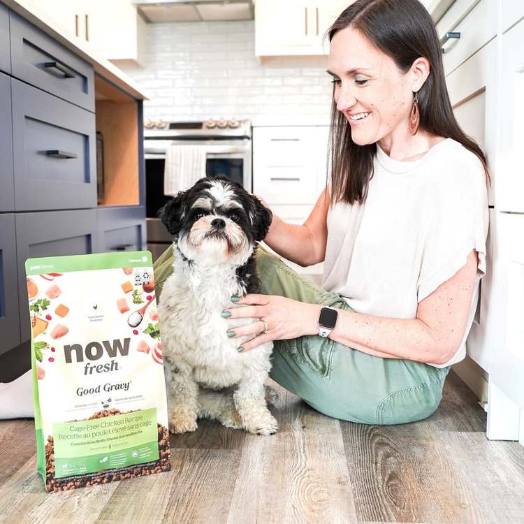 now 雞肉小型成犬 高湯天然糧 (乾濕兩吃|狗糧)