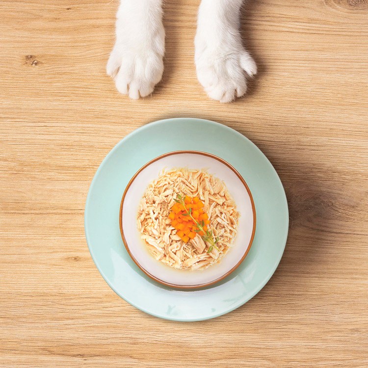 Hyperr超躍 雞肉南瓜 貓咪無穀主食罐 (貓罐|罐頭)