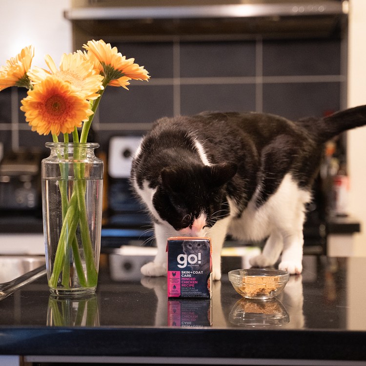 go! 雞肉蔬果182克 嫩絲系列 貓咪鮮食利樂包 (貓罐|主食罐)