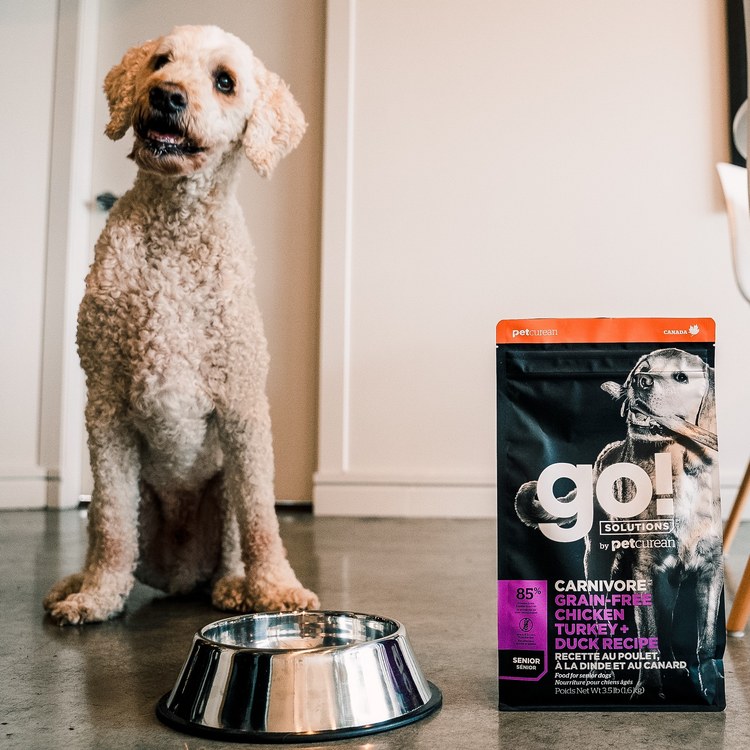 go! 雞肉鮭魚 老犬 高肉量無穀狗糧 (狗飼料|犬糧)