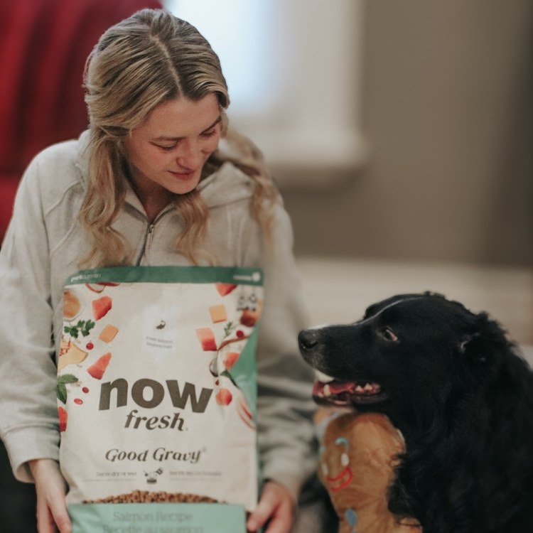 【即期】now 鮭魚小型成犬 高湯天然糧 3.5磅(乾濕兩吃|狗糧)