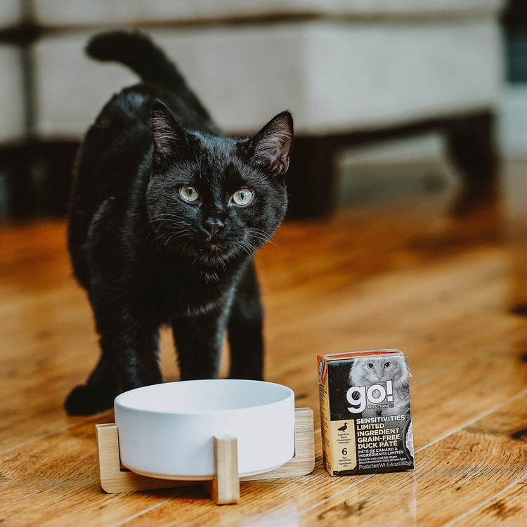 go! 無穀鴨肉182克 豐醬系列 貓咪鮮食利樂包 (貓罐|主食罐)