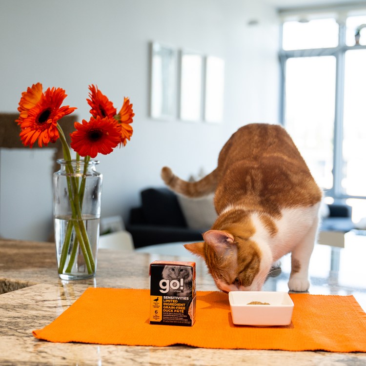 go! 無穀鴨肉 豐醬系列 貓咪鮮食利樂包 (貓罐|主食罐)