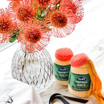 法國Studio Ollie 橘子果汁 寵物嗅聞玩具(狗玩具|藏食玩具)