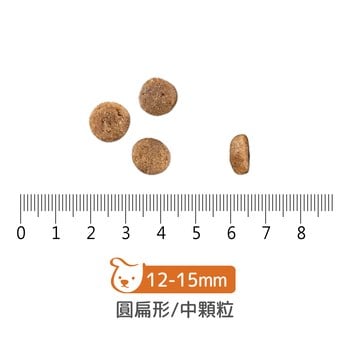 now 中型犬鮮肉無穀天然糧 (狗飼料|狗糧)