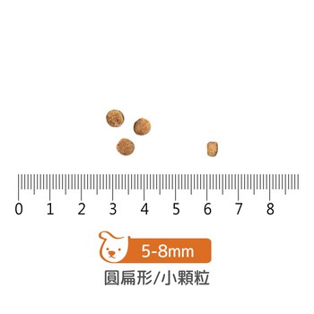 now 鮮肉小型幼犬 無穀天然糧 (狗飼料|狗糧)