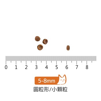 now 鮮肉幼貓 無穀天然糧 (貓飼料|貓糧)