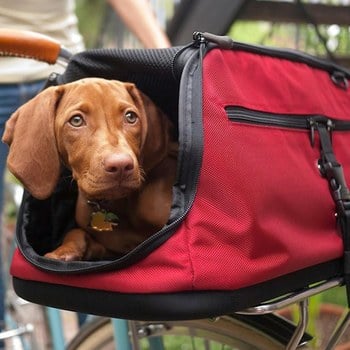 SleepyPod AIR 寵物旅者飛航專用旅包 紅色(寵物包|旅行包)