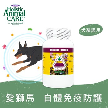 Azmira 愛獅馬 自體免疫防護 (貓狗適用|免疫保健)