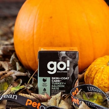 go! 火雞鮭魚 豐醬系列 狗鮮食利樂餐包 (狗罐|主食罐)