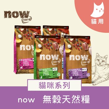 now 全口味300克天然糧 無穀貓糧 (貓飼料|貓糧)