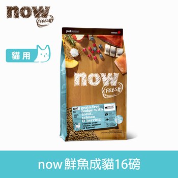 now 鮮肉無穀 16磅 貓咪天然糧 (貓飼料|貓糧)