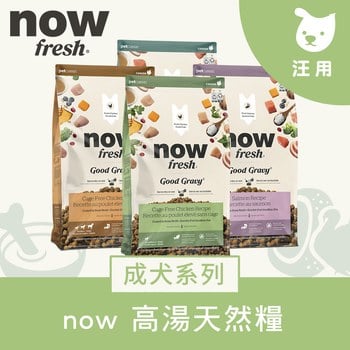 now 全口味 高湯天然糧 (乾濕兩吃|狗糧)