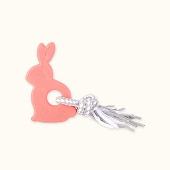 ZippyPaws 不可能這麼會咬 超耐咬兔子 耐啃咬 寵物玩具