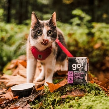 【任選】go! 182克 12件組 貓咪鮮食利樂餐包 (貓罐|主食罐)