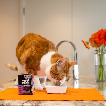 go! 全口味 貓鮮食利樂餐包 (貓罐|主食罐)