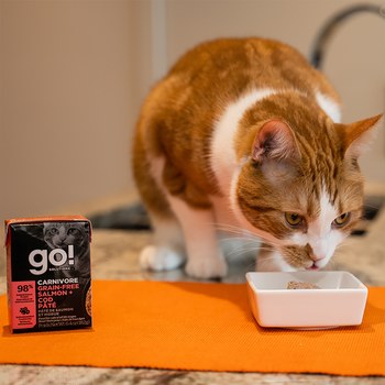 go! 無穀海洋鮭鱈 豐醬系列 貓咪鮮食利樂包 ( 貓罐 | 主食罐 )