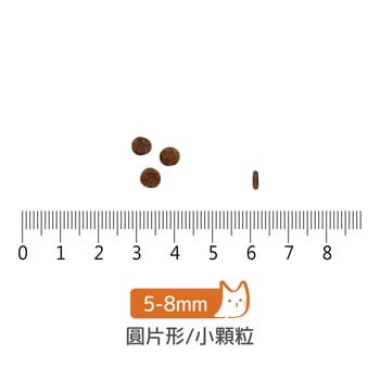 go! 野生鮭魚 全貓 皮毛保健無穀貓糧 (貓飼料|貓乾糧)