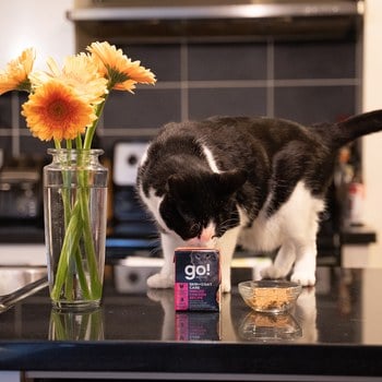 go! 雞肉蔬果 嫩絲系列 貓咪鮮食利樂包 (貓罐|主食罐)