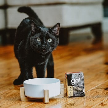 go! 無穀鴨肉 豐醬系列 貓咪鮮食利樂包 (貓罐|主食罐)