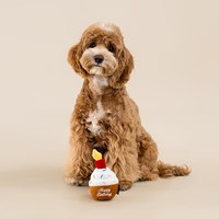 CHEWFFON 杯子蛋糕 藏食嗅聞玩具 啾啾聲 狗玩具 寵物玩具